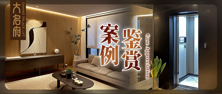 大名府家用電梯案例鑒賞 | 質(zhì)感生活×理性藝術(shù)，悅?cè)煌ㄐ械膴W秘
